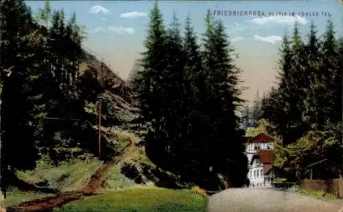 Ak Friedrichroda im Thüringer Wald, Köhler Tal