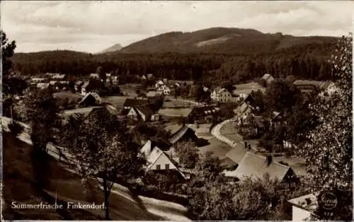 Ak Polesí Rynoltice Finkendorf Region Reichenberg, Panorama