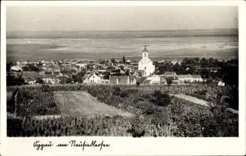 Ak Oggau am Neusiedler See Burgenland Österreich, Gesamtansicht