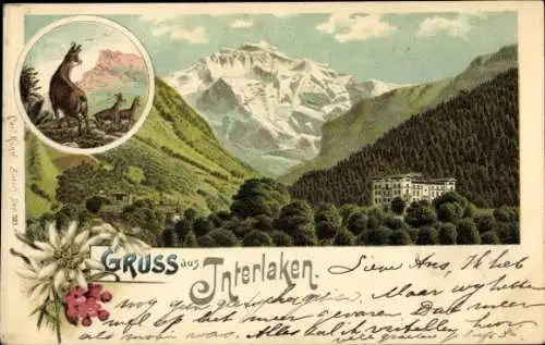 Litho Interlaken Kanton Bern Schweiz, Landschaft, Schloss, Rehe
