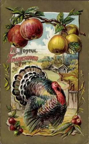 Präge Ak Thanksgiving, Truthahn, Früchte, Äpfel am Baum