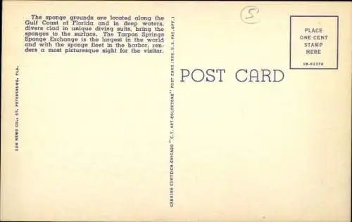 Ak Tarpon Springs Florida USA, Schwamm-Taucher