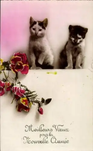 Ak Glückwunsch Neujahr, Katzen, Blumen