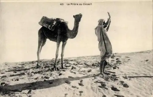 Ak Maghreb, Betender Araber, Wüste, Kamel