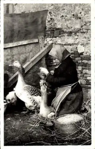 Ak Villefranche-de-Lauragais, Gänsefütterer