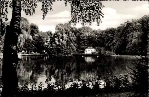 Ak Holzminden an der Weser, Teich