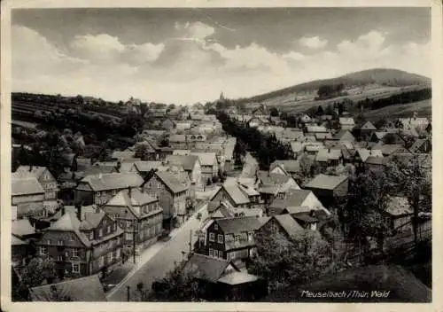 Ak Meuselbach in Thüringen, Gesamtansicht