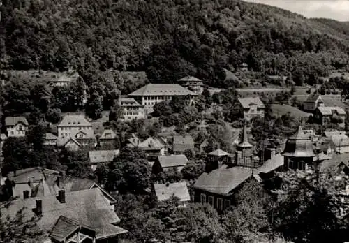 Ak Schwarzburg in Thüringen, Gesamtansicht
