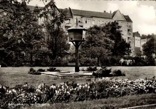 Ak Berlin Neukölln, Hertzbergplatz
