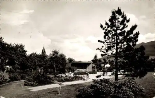 Ak Olsberg im Sauerland, Kurpark