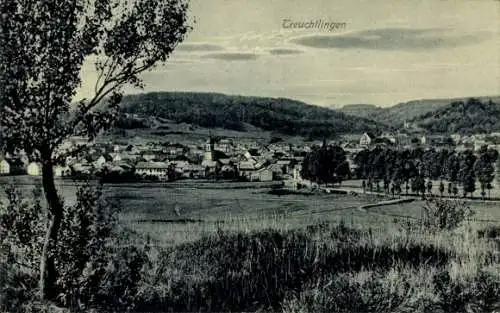 Ak Treuchtlingen im Altmühltal Mittelfranken, Panorama