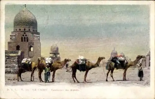 Ak Cairo Kairo Ägypten, Grab eines Kalifen, Kamele