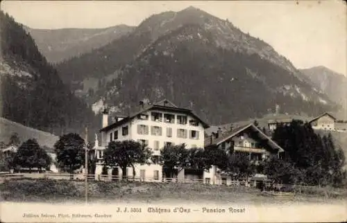 Ak Château d'Œx Oex Kanton Waadt Schweiz, Pension Rosat, Bergpanorama