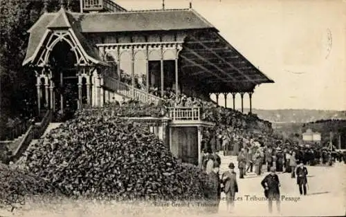 Ak Maisons Laffitte Yvelines, Tribunes