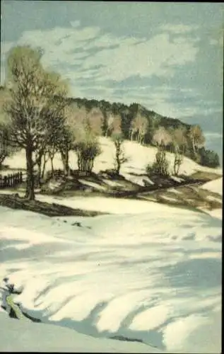 Set von 10 Ak im Umschlag, Friedrich Iwan, Riesengebirge Serie 2