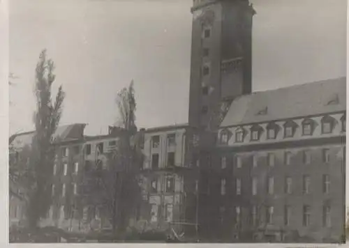 Original Foto Berlin Spandau, Rathaus Spandau, um 1946