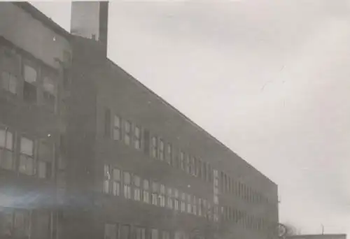 Original Foto Berlin Neukölln, Sonnenallee, Arbeitsamt Neukölln, um 1946-50