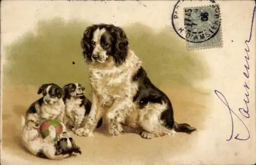 Künstler Ak Wasserspaniel, Welpen