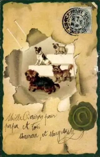 Präge Passepartout Litho Hunde auf einer Treppe
