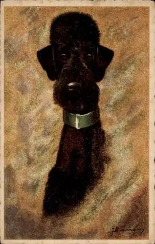 Künstler Ak Hundeportrait, schwarzer Pudel
