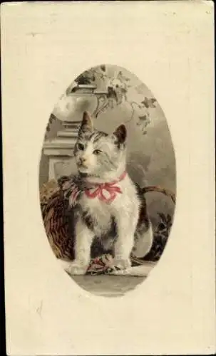 Präge Ak Katze mit roter Schleife, gemaltes Porträt