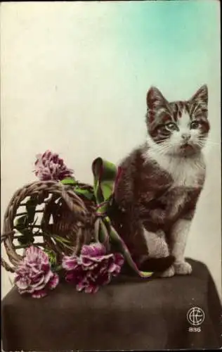 Ak Katze, Portrait, Blumen, Korb