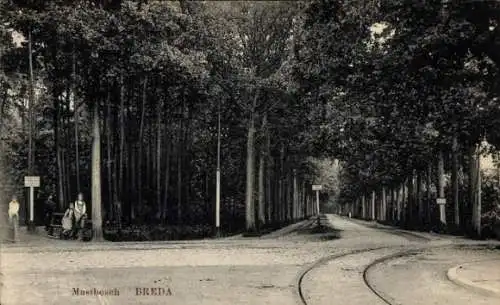 Ak Bavel Breda Nordbrabant Niederlande, Allee im Park mit zwei Personen