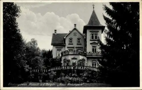 Ak Alsbach Hähnlein Hessen, Haus Hirschpark