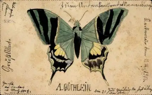 Ak Schmetterling,  A. Güthlein