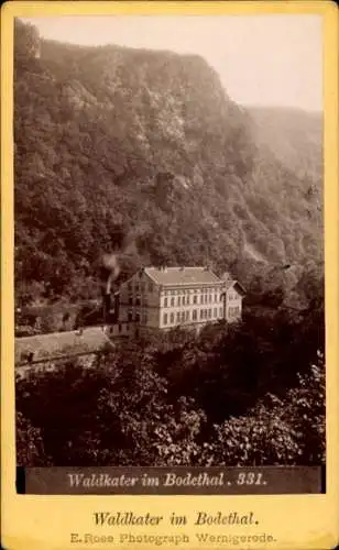 CdV Thale im Harz, Waldkater im Bodetal