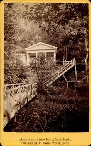 CdV Alexisbad Harzgerode am Harz, Alexisbrunnen