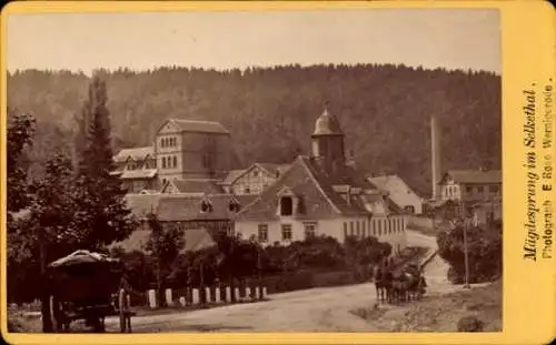 CdV Mägdesprung Harzgerode am Harz, Gesamtansicht, Selketal