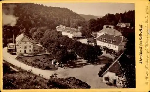 CdV Alexisbad Harzgerode am Harz, Gesamtansicht, Selketal