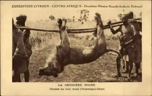 Ak L'Oubangui Chari Zentralafrikanische Republik, Croisiere Noire, Chasse au lion, Mission Haardt