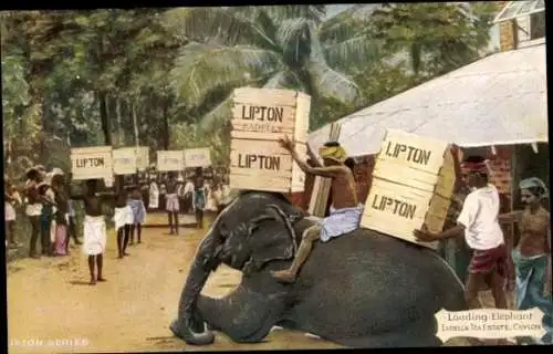 Ak Ceylon Sri Lanka, Loading Elephant, Lipton Tea