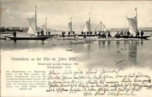 Ak Westerhüsen Magdeburg, Niedrigwasser der Elbe 1904, Hungersteine, Boote