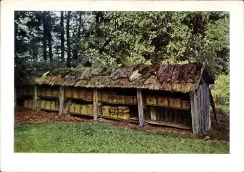 Ak Alter Bienenzaun, Naturschutzpark Lüneburger Heide