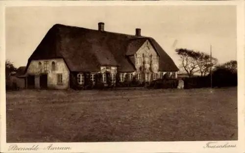 Ak Steenodde Nebel Insel Amrum,  Friesenhaus