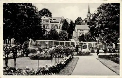 Ak Bad Elster im Vogtland, Rosengarten