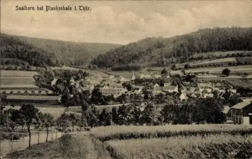 Ak Polka Saalborn Blankenhain in Thüringen, Blick auf  Thüringen