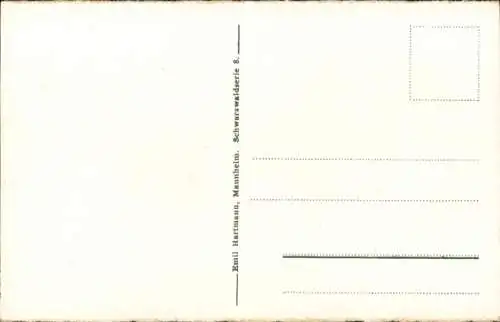 Ak Triberg im Schwarzwald, Schwarzwaldbahn, 3 Bahnlinien, Eisenbahn, Bachjörg