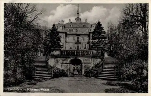 Ak Höchst Frankfurt am Main, Bolongaro Palast