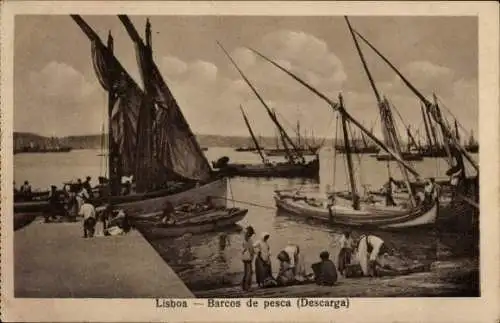 Ak Lisboa Lissabon Portugal, Barcos de pesca, Descarga, Fischerboote im Hafen