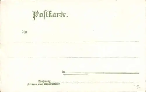 Litho Ulm an der Donau, Ulmer Münster, Stadtpanorama