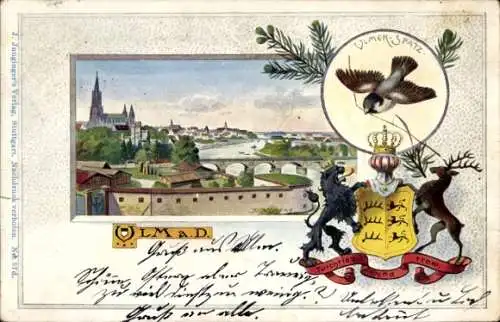Wappen Passepartout Ak Ulm an der Donau, Panorama, Ulmer Spatz