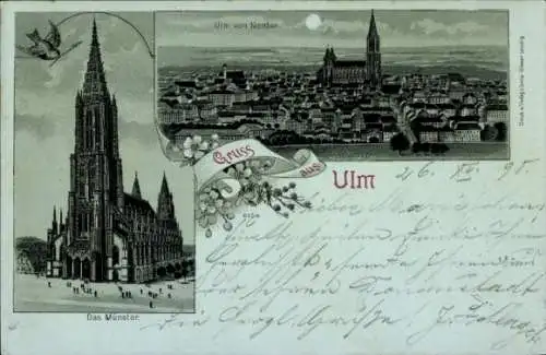 Mondschein Litho Ulm an der Donau, Panorama, Münster