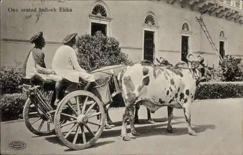 PC Indien, One seated bullock Ekka