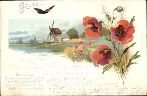 Litho Windmühle, Mühle, Schmetterling, Mohn, Allegorie, Wochentag, Dienstag