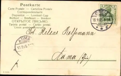 Litho Glückwunsch Geburtstag, Veilchen, Paket