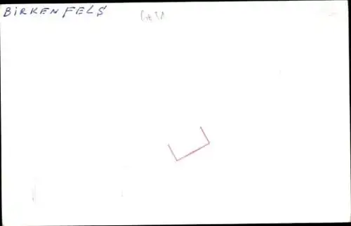 Foto Frachtschiff Birkenfels